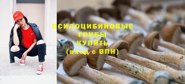 PSILOCYBIN Вязники