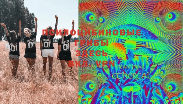 PSILOCYBIN Вязники