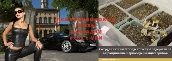PSILOCYBIN Вязники